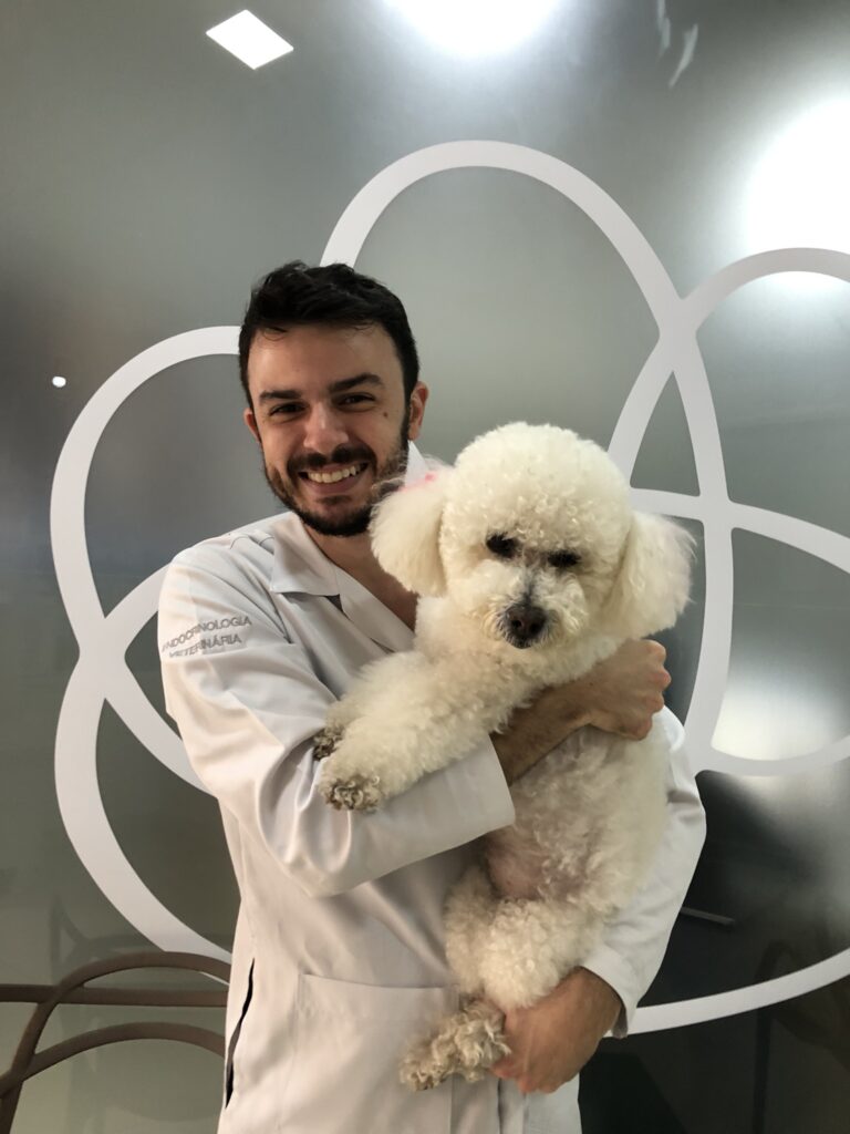 Raças de cachorro mais populares no Brasil: ranking atualizado