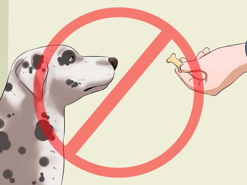 Como ensinar cachorro a latir no comando
