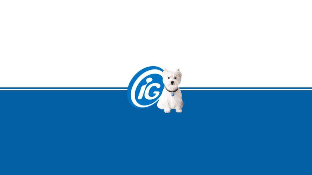 Raças de Cachorro Mais Dóceis e Carinhosas