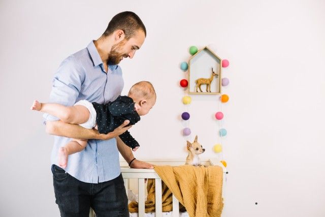 Como adestrar cachorro para conviver com bebê recém-nascido