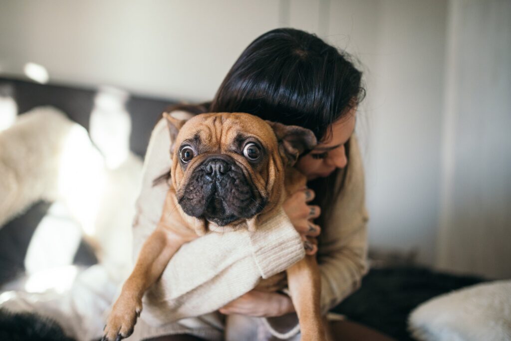 Raças de cachorro para quem mora sozinho