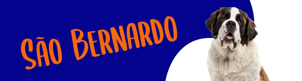 São Bernardo Cachorro: Guia Completo da Raça Gigante