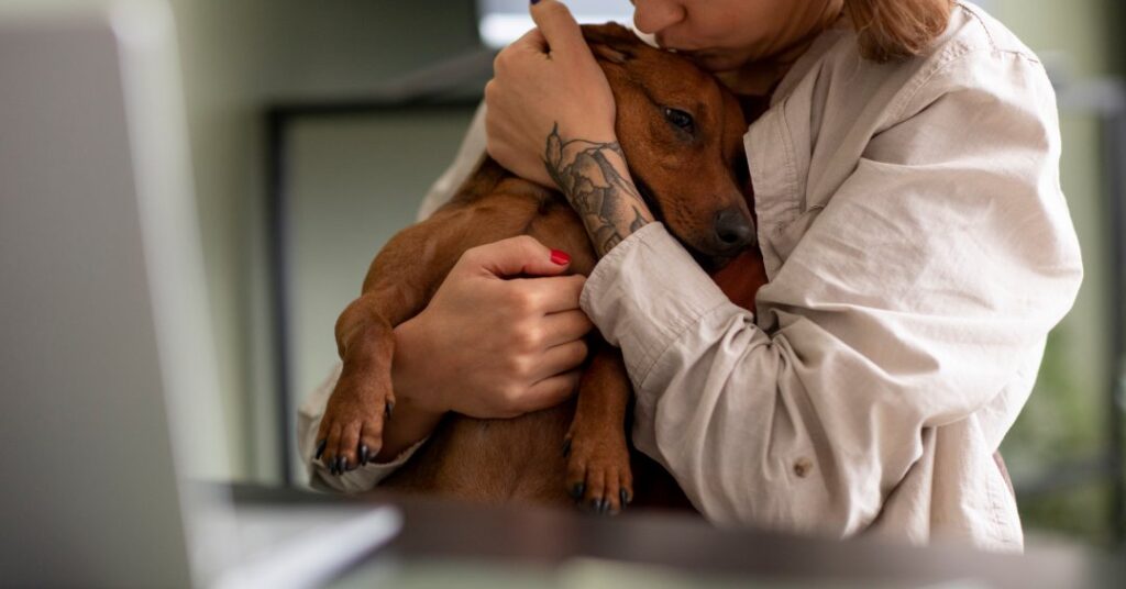 Eutanasia cachorro: quando considerar e como é feita