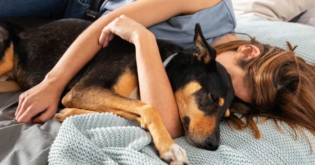 Cachorro dormir na cama com o dono: quando impor limites?