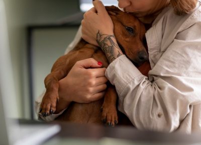 Eutanasia cachorro: quando considerar e como é feita